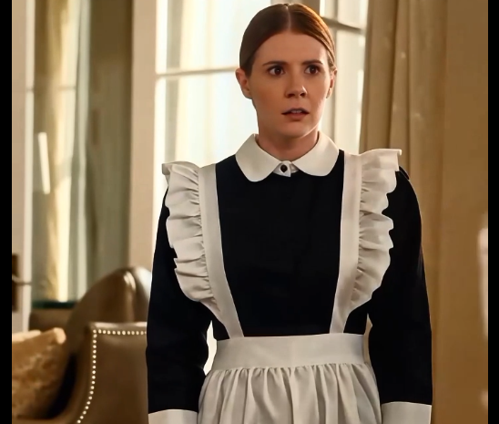 The Maid’s Secret | Stranger Or What?